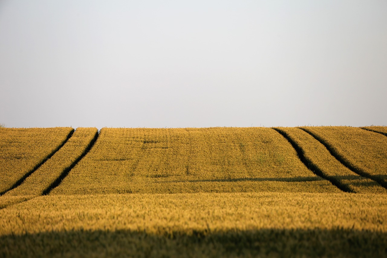 How to Take Captivating Photos of Rural and Countryside Scenes